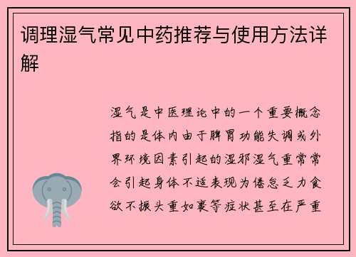 调理湿气常见中药推荐与使用方法详解